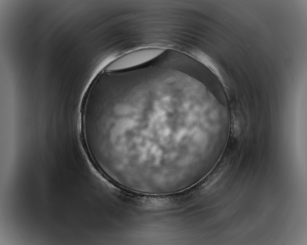 X0000088161095200705221556