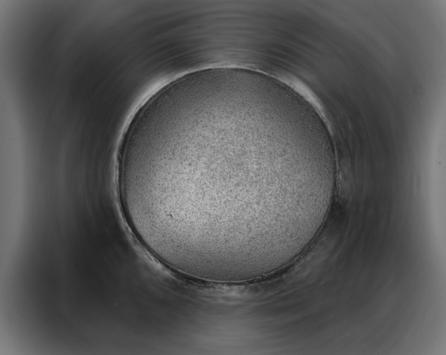 X0000088161096200705221556