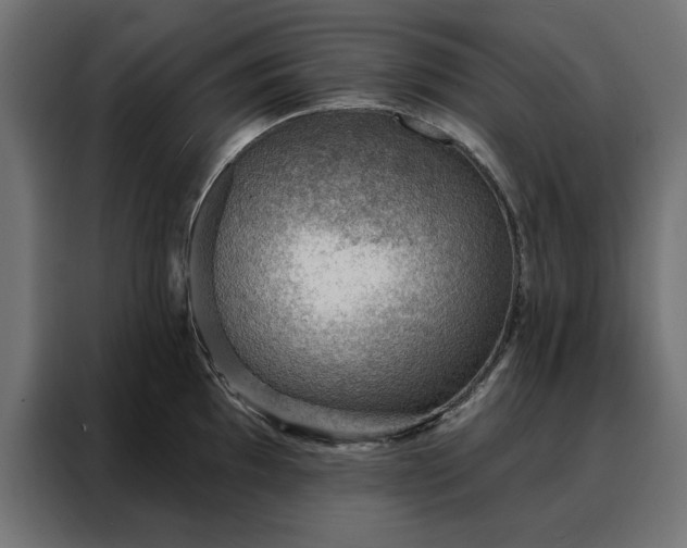X0000088161097200705221556