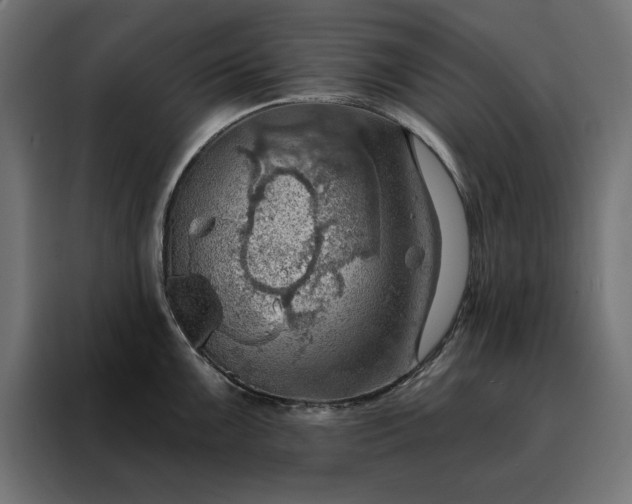 X0000088161099200705221556