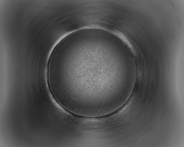 X0000088161100200705221556