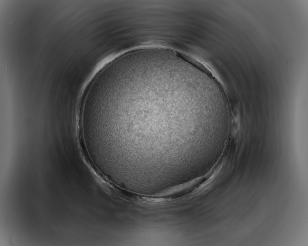 X0000088161101200705221556