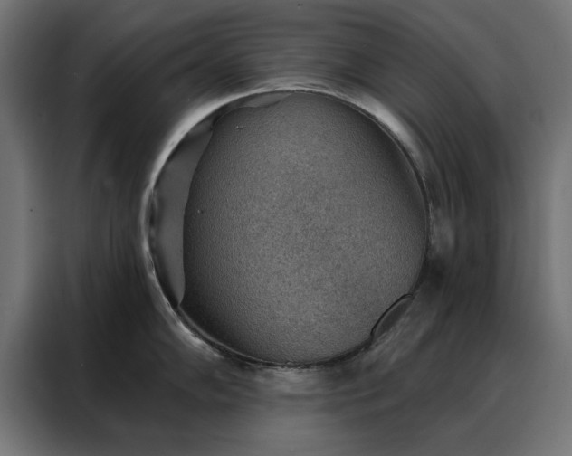 X0000088161102200705221556