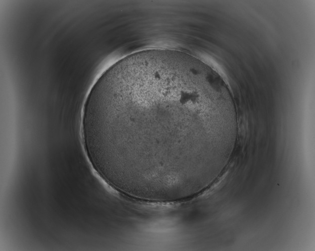 X0000088161103200705221556