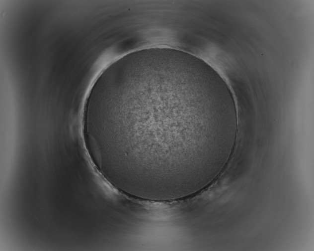 X0000088161104200705221556