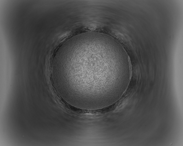 X0000088161105200705221555