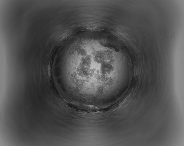 X0000088161106200705221555