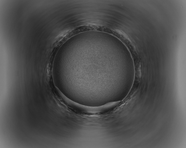 X0000088161110200705221555