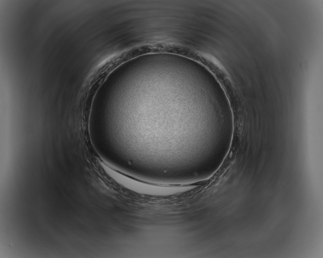 X0000088161112200705221555