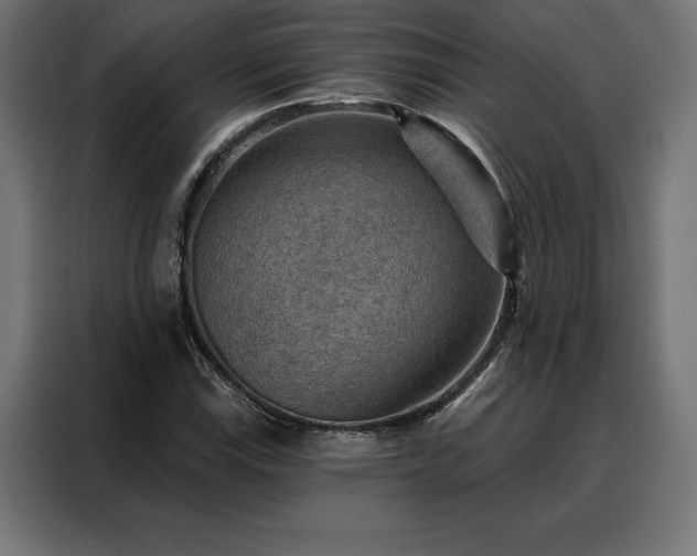 X0000088161115200705221555