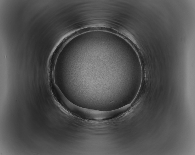 X0000088161116200705221555