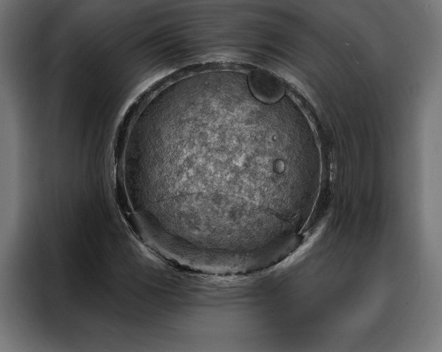 X0000088161117200705221555
