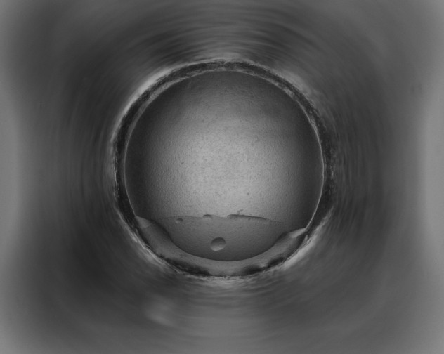 X0000088161118200705221555