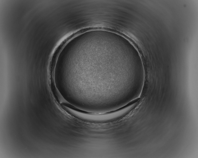 X0000088161120200705221555