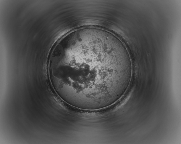 X0000088161121200705221555