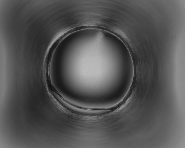 X0000088161122200705221555