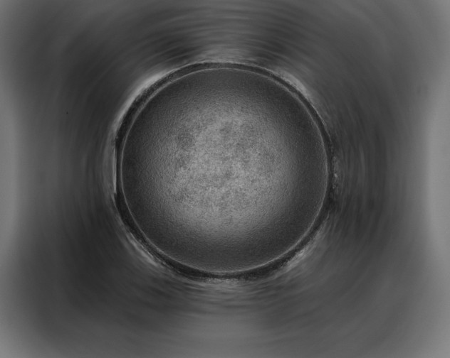 X0000088161123200705221555