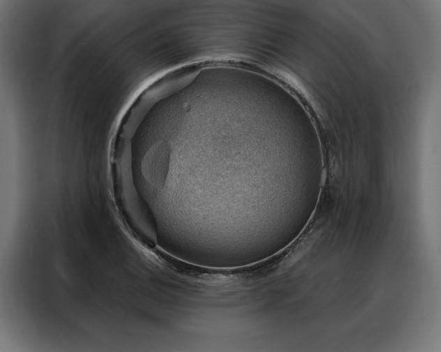 X0000088161124200705221555