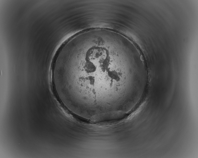 X0000088161125200705221555