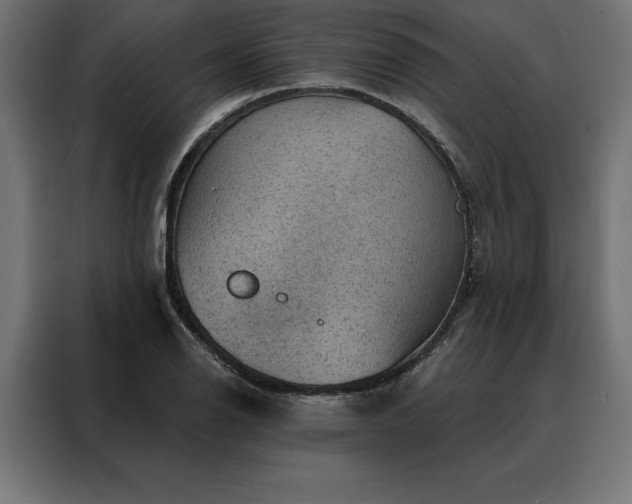 X0000088161126200705221555