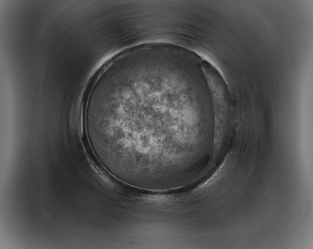 X0000088161127200705221555