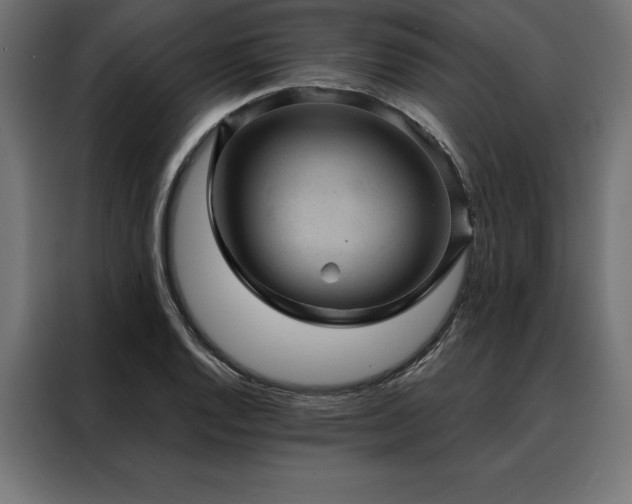 X0000088161128200705221555
