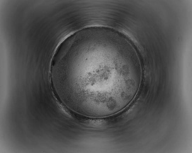 X0000088161129200705221555