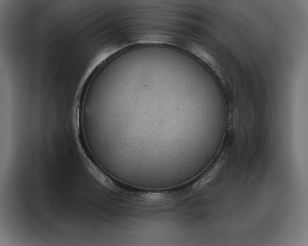 X0000088161130200705221555
