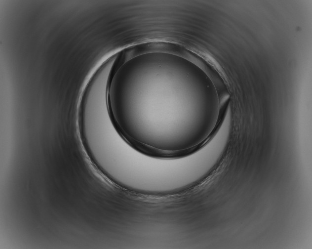 X0000088161132200705221555