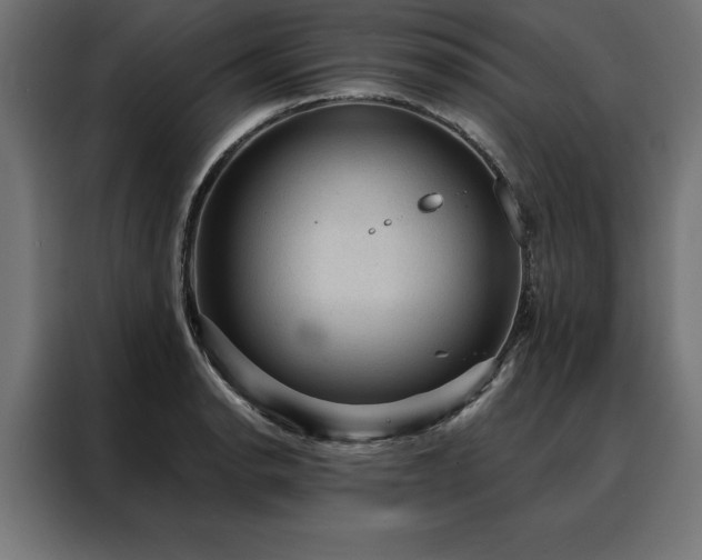 X0000088161134200705221555