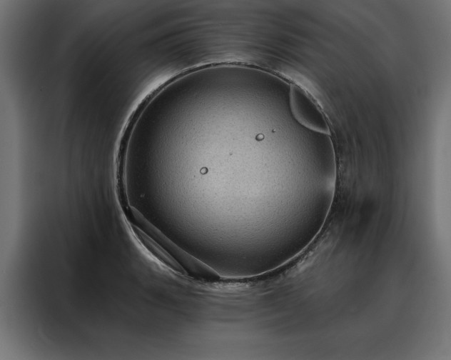 X0000088161135200705221555