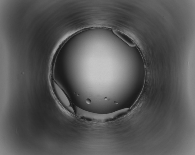 X0000088161136200705221555
