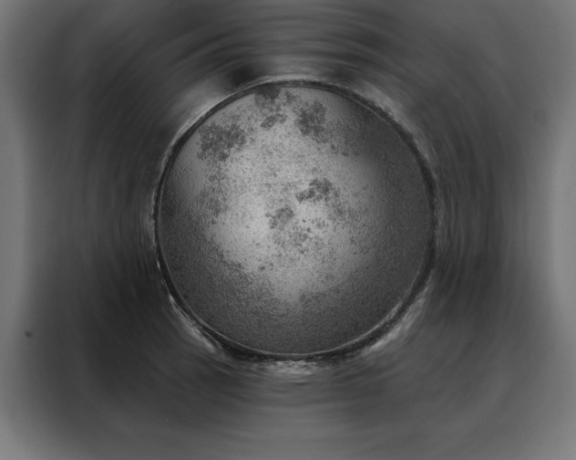 X0000088161137200705221555