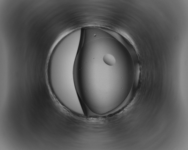X0000088161138200705221555