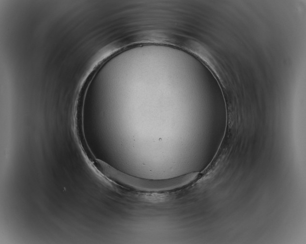 X0000088161139200705221555