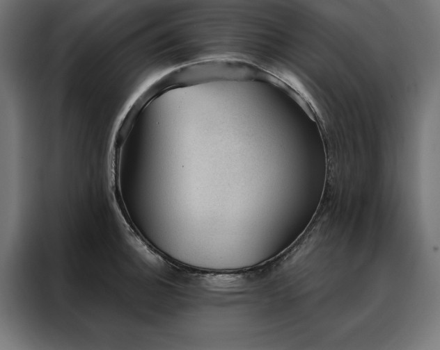 X0000088161140200705221555