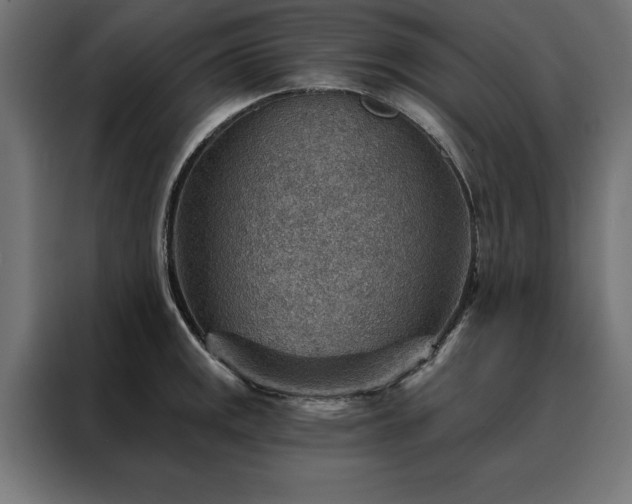 X0000088161141200705221555