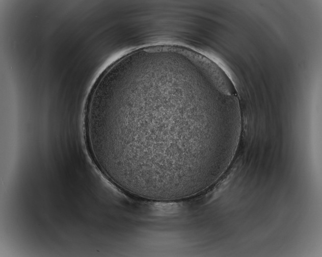 X0000088161142200705221555