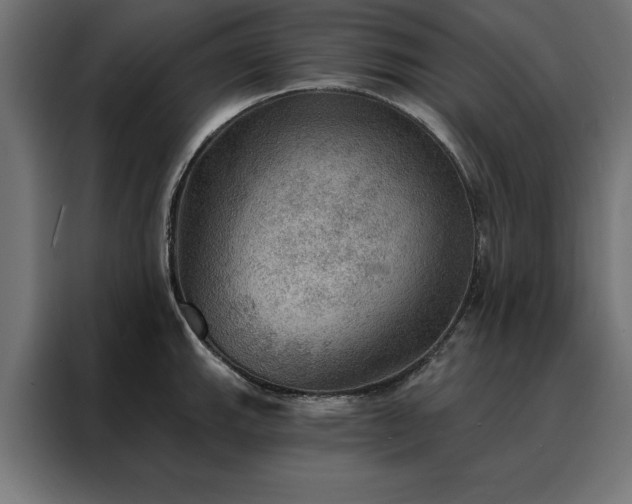 X0000088161143200705221555