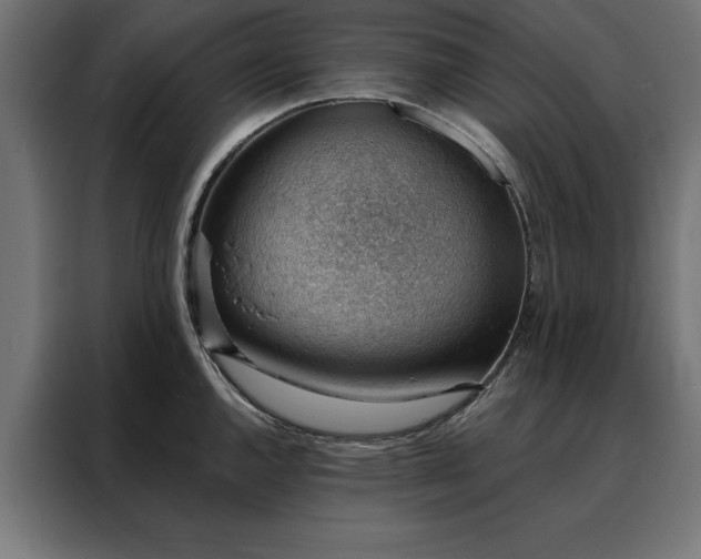 X0000088161144200705221555