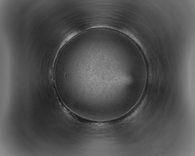X0000088161145200705221555