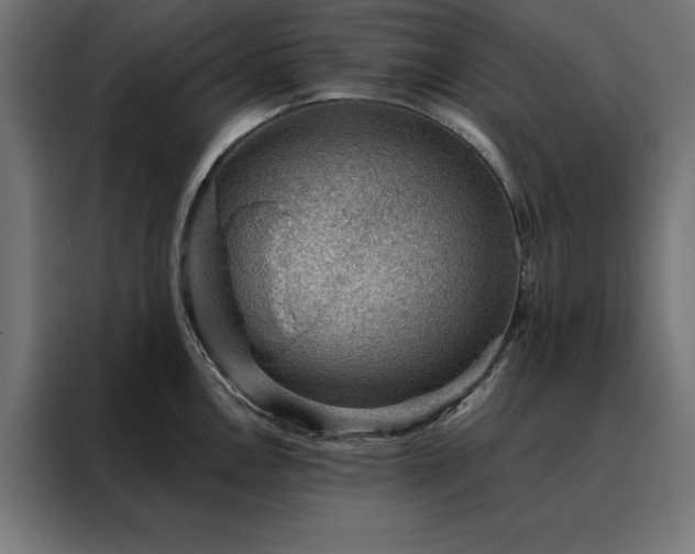 X0000088161146200705221555