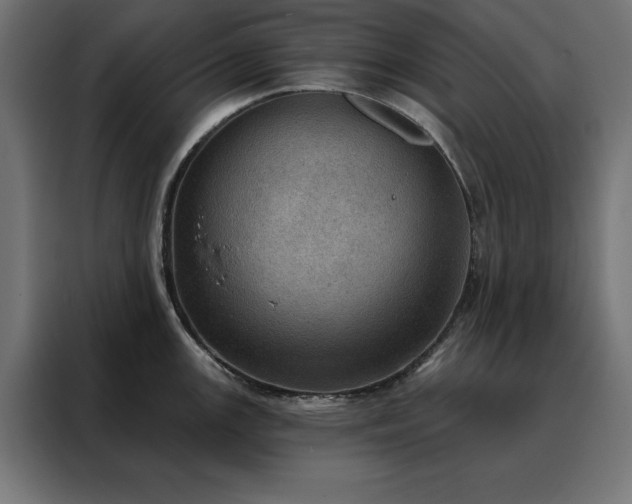 X0000088161147200705221555