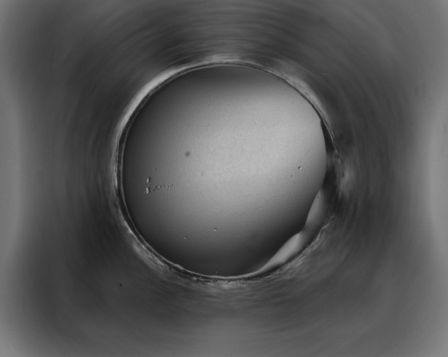 X0000088161148200705221555