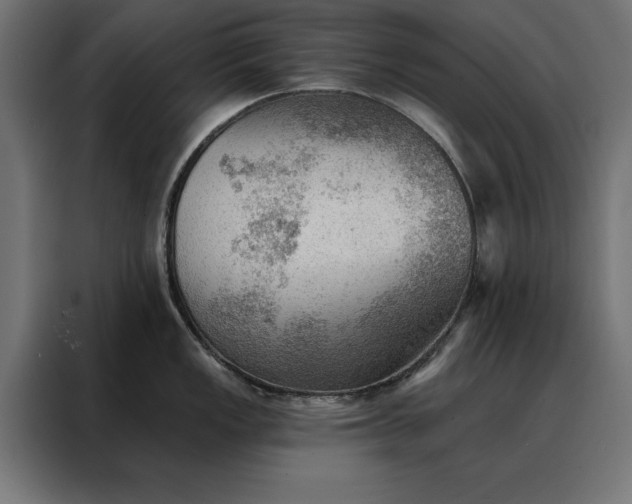 X0000088161149200705221555