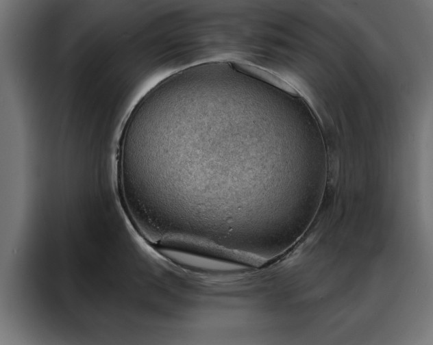 X0000088161151200705221556
