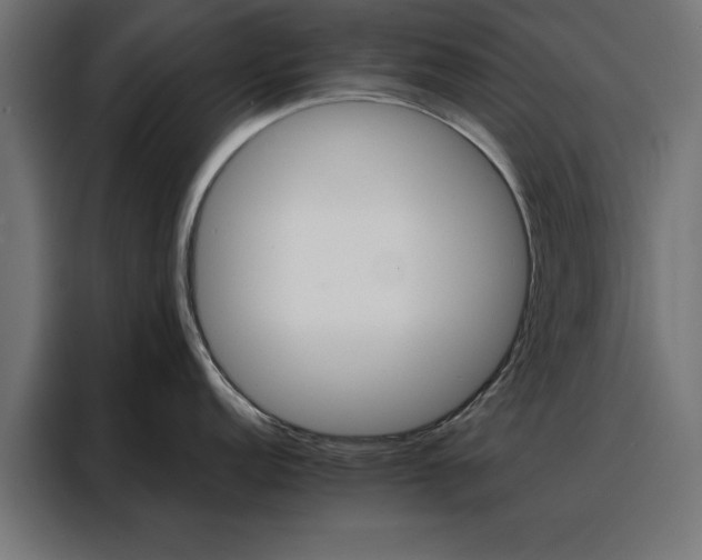 X0000088161152200705221556