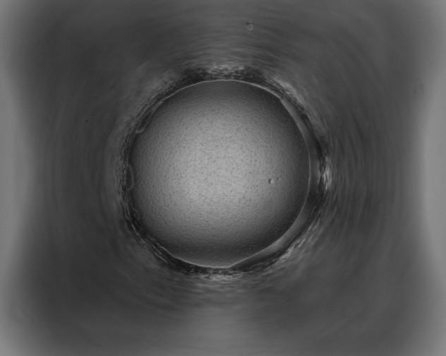 X0000088161153200705221555
