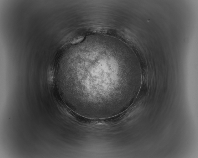 X0000088161154200705221555