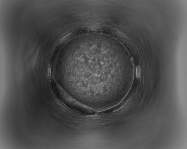 X0000088161155200705221555